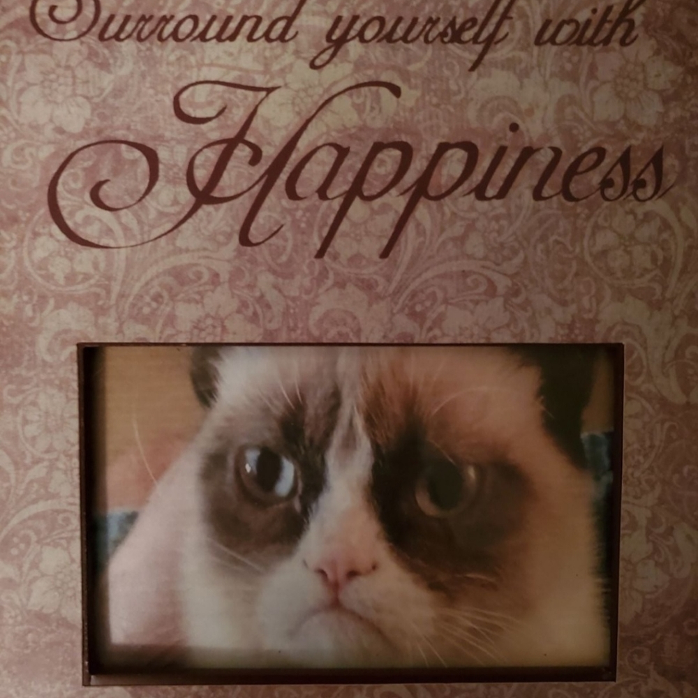 Grumpy Cat Photo Frame - Picture 3 of 4